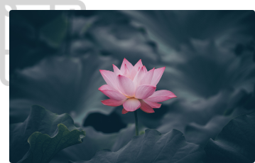 Spiritual awakening program